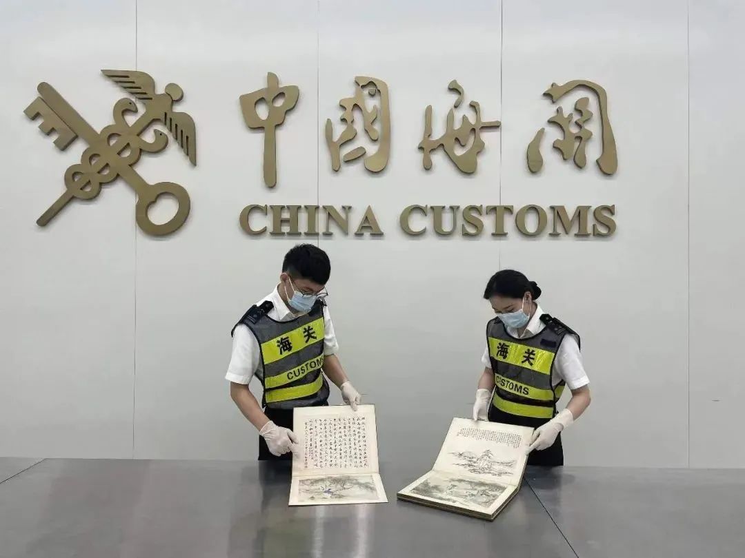 羽林娱乐登录下载